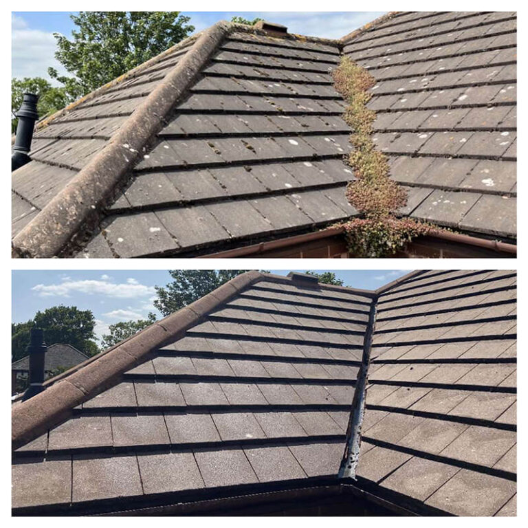 Roof Cleaning